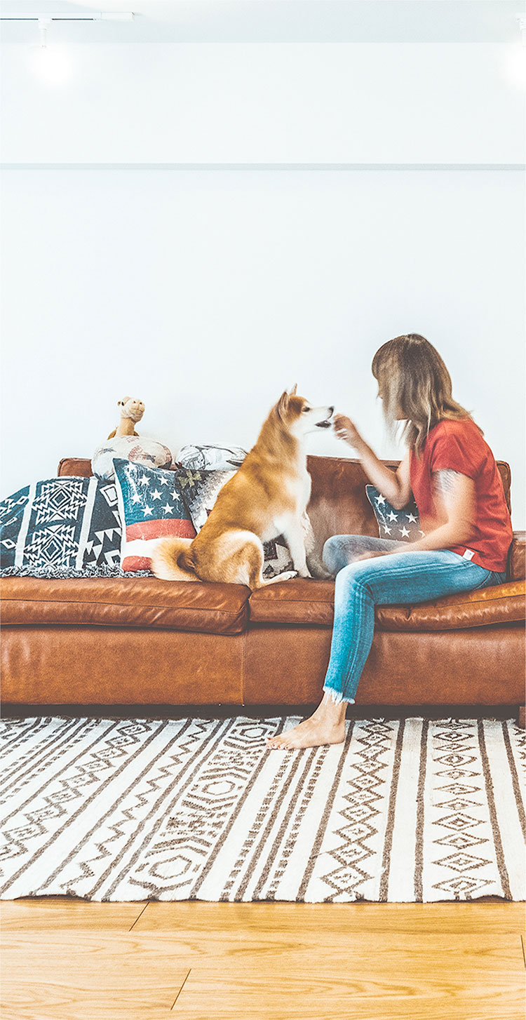 部屋で犬と戯れている女性